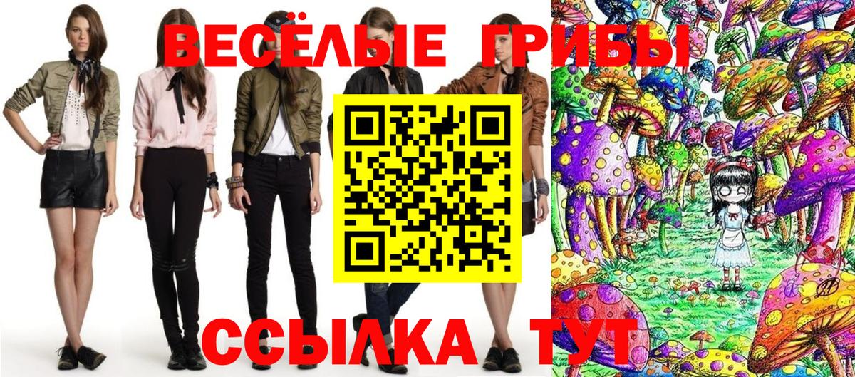 Галлюциногенные грибы MAGIC MUSHROOMS  Вход с VPN  Псилоцибиновые грибы прущие грибы  Каменка 